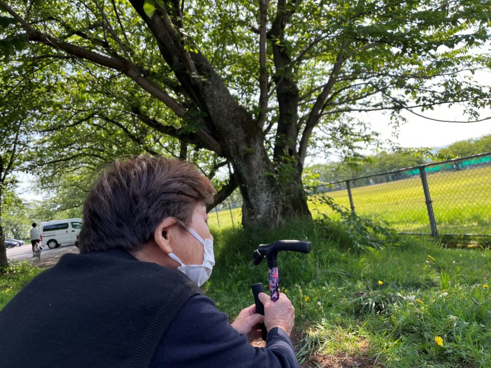 富士市デイサービス_屋外歩行訓練新緑散策