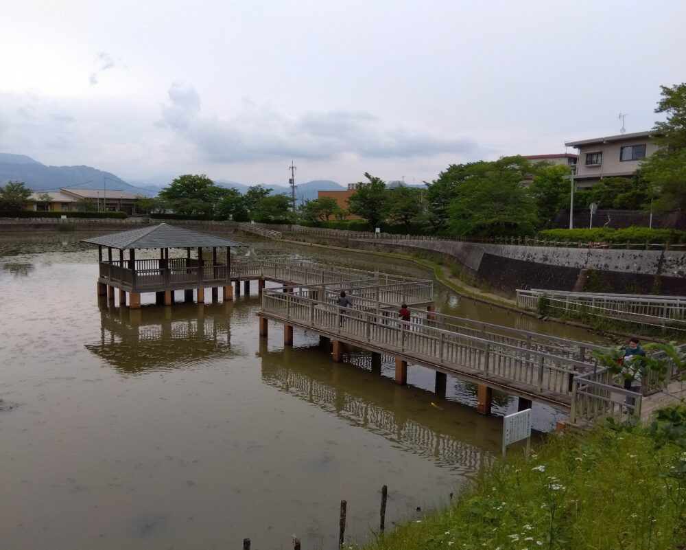 清水銀座デイサービス　屋外歩行訓練　船越堤公園　