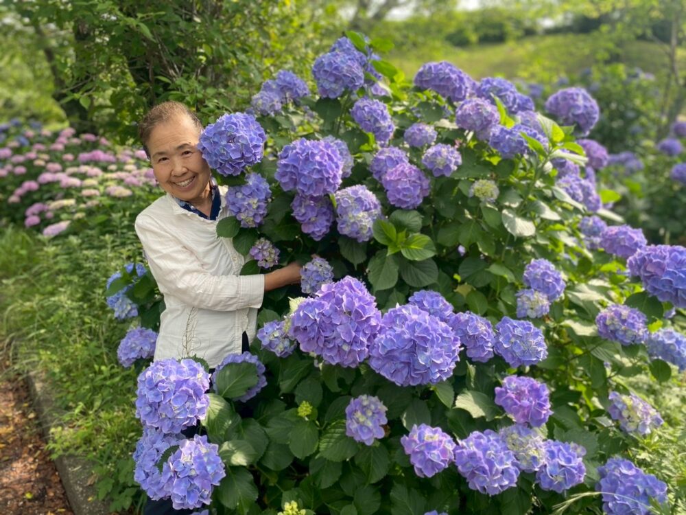 静岡中央デイサービス　紫陽花を見に日本平へ（生活リハビリ・屋外歩行訓練）