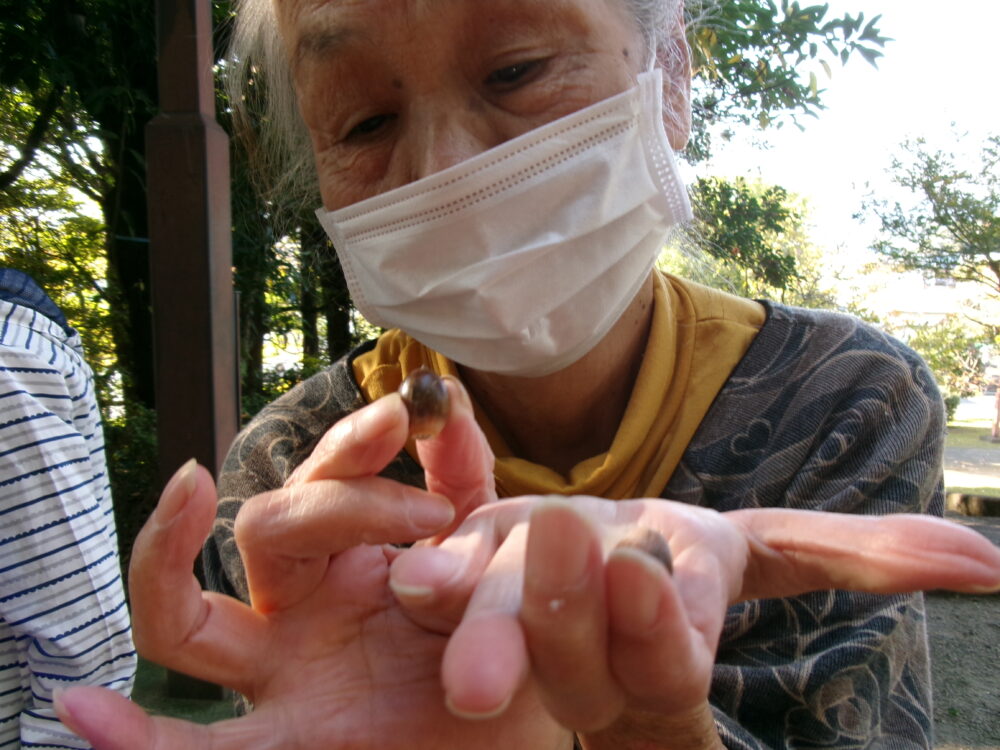 静岡市清水区デイサービス_お散歩日和