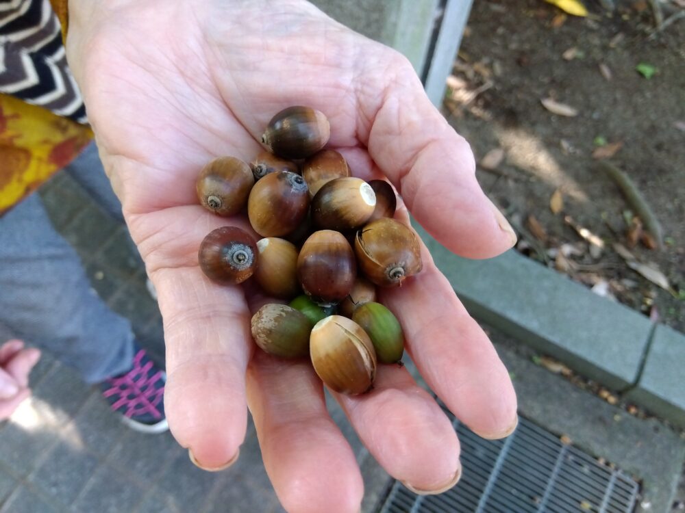 静岡市清水区デイサービス_お散歩日和