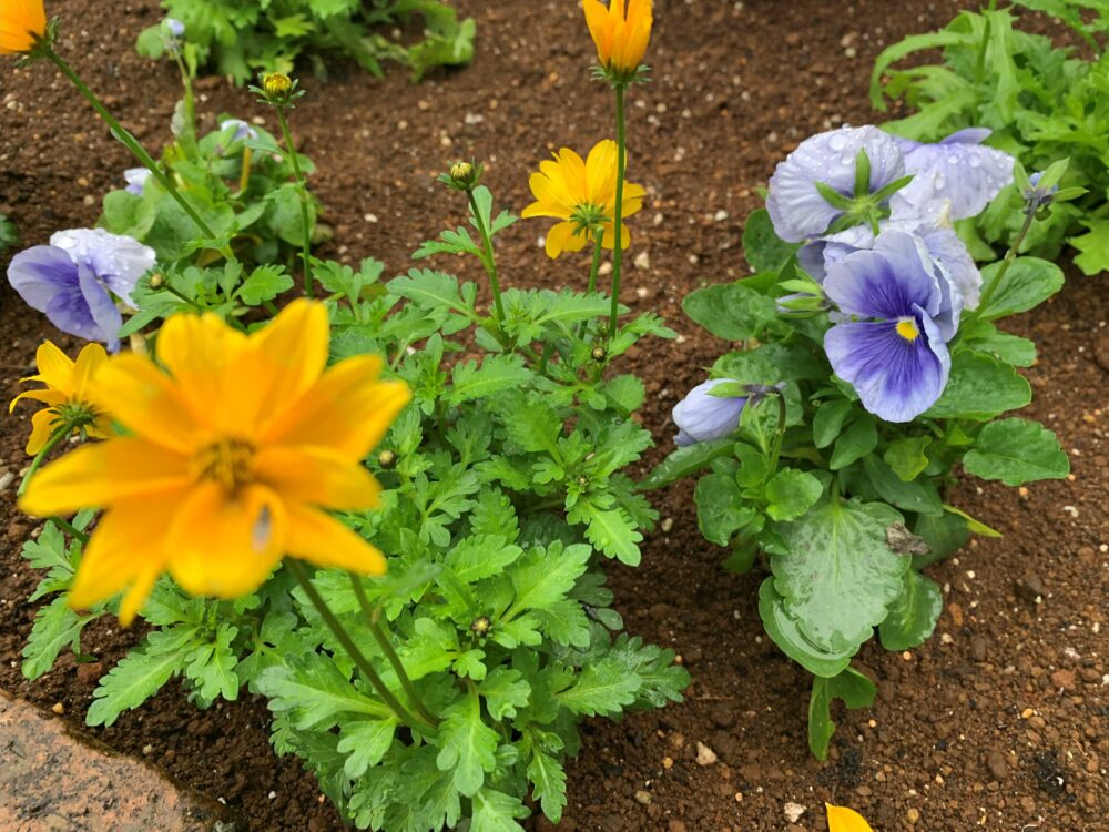 沼津開北デイサービス_四季彩クラブ季節の思い出クラフト