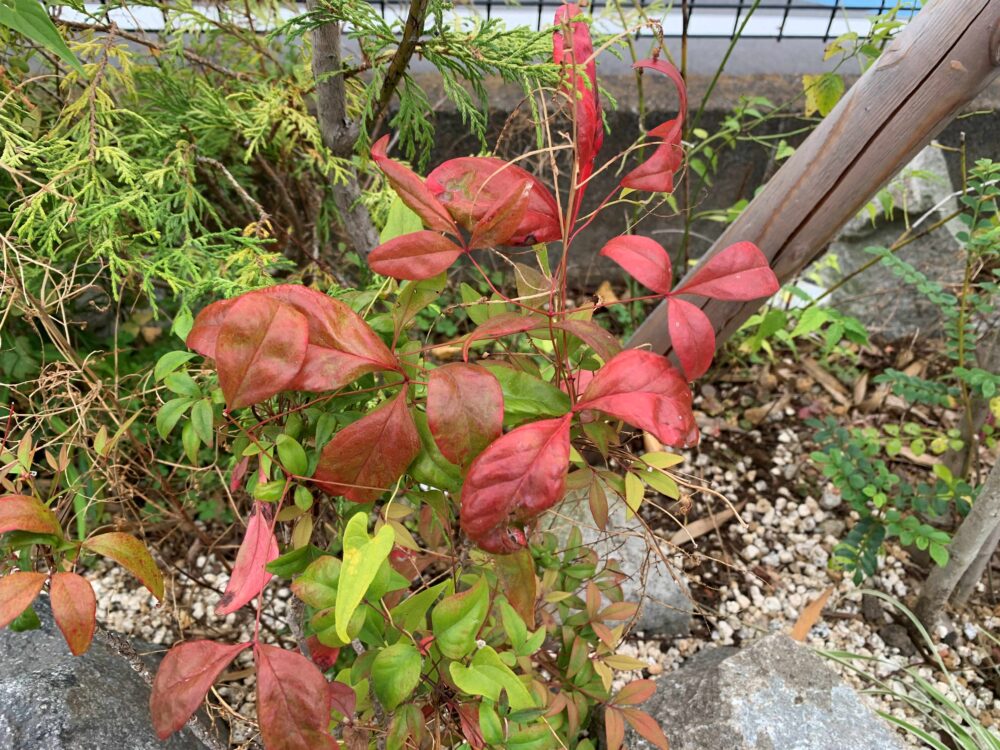 沼津開北デイサービス_四季彩クラブ季節の思い出クラフト