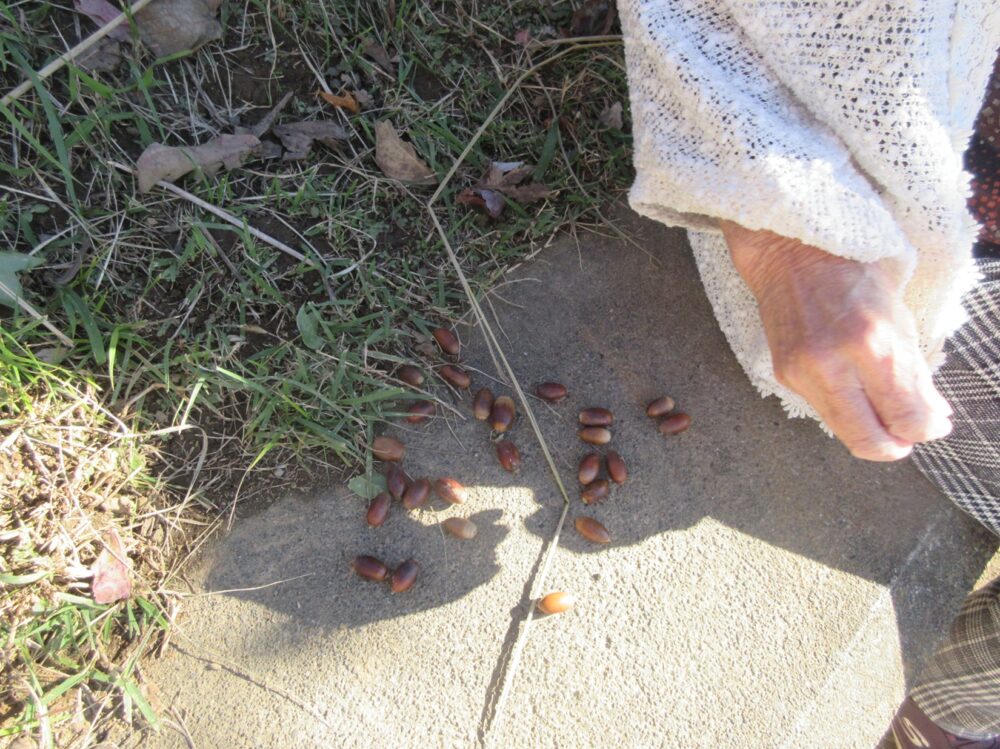 静岡市清水区デイサービス_御門台デイサービス屋外歩行訓練