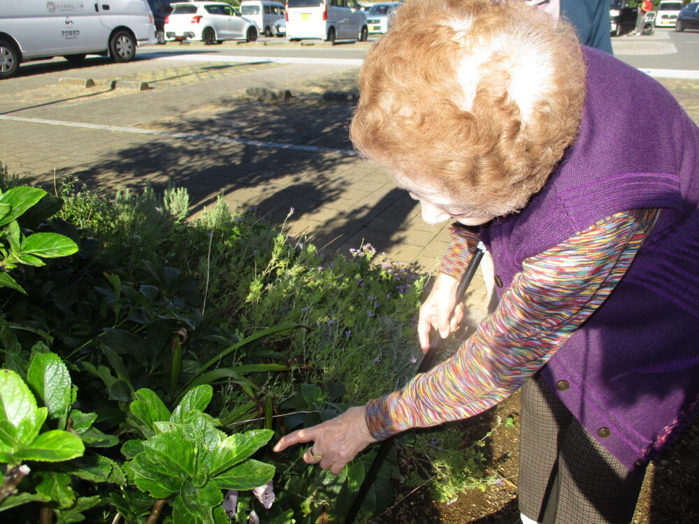 静岡市駿河区デイサービス_富士山は雪化粧