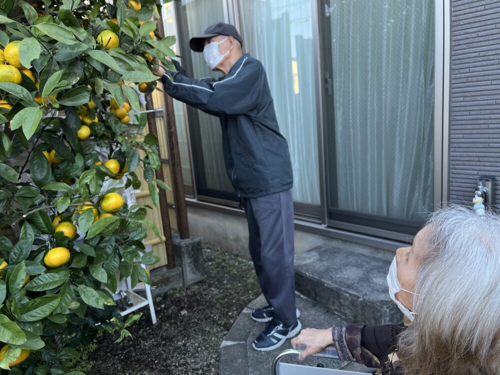 富士市デイサービス_ミカン狩りからミカンジュース作り