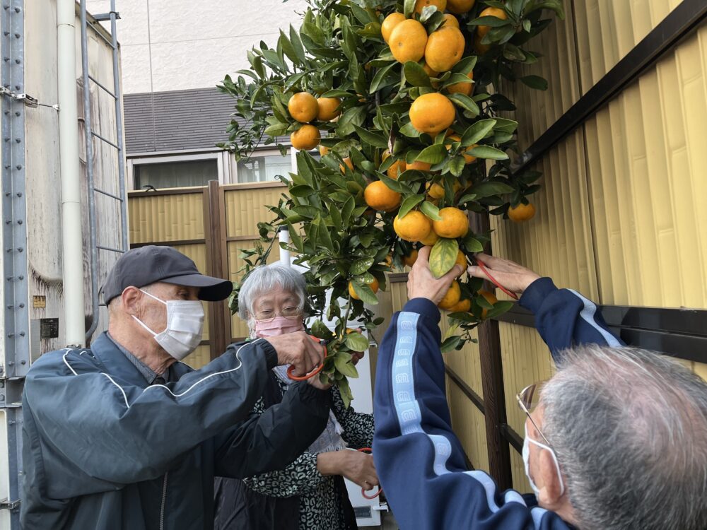 富士市デイサービス_ミカン狩りからミカンジュース作り