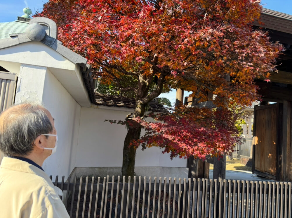 静岡市清水区デイサービス_紅葉の旅