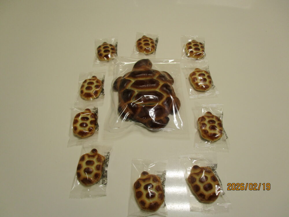 静岡市清水区デイサービス_生活リハビリクラブ押切・歩こうクラブ【目指せ「港町ブルース」(十四港)制覇】 令和8年2月5日　御前崎で灯台を仰ぎ見る!